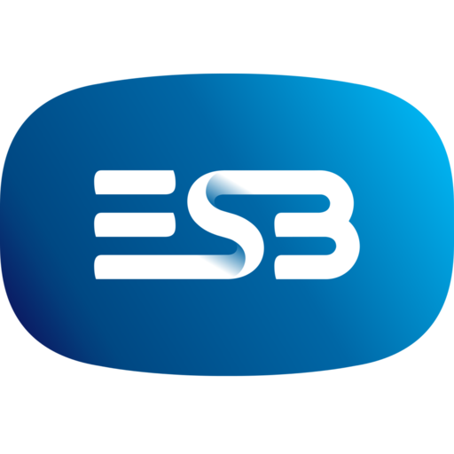 Marketing Graduate Development Programme 2027 at esb